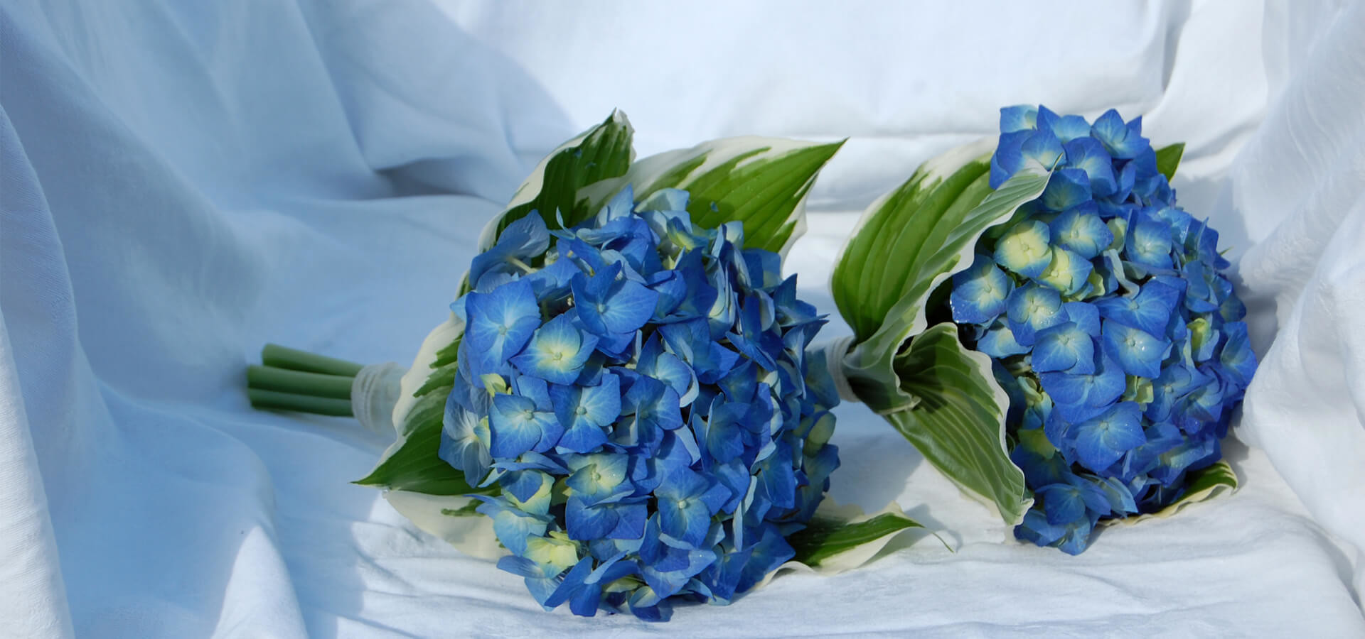 Свадьба в гармоничном синем цвете